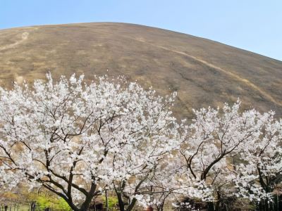 ホテル周辺 星野リゾート 界 アンジンの写真