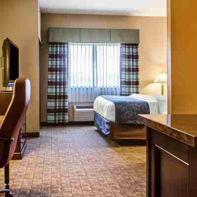 Comfort Suites Bloomsburg Rooms