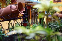 Hotel Tradicional Các khách sạn ở 