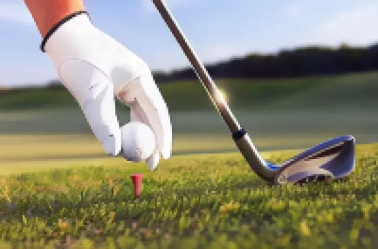 แบร์กาโมอินน์ 15