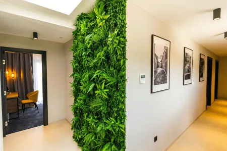 Boutique Rooms 76 Отели в г. Доњи Проложац