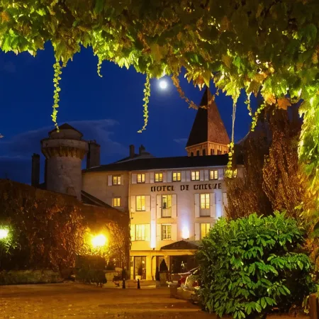 Demeures & Châteaux - Hôtel Greuze & Spa Tournus