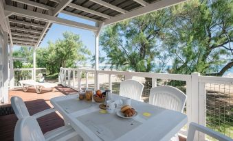 Club del Sole Stork Family Collection