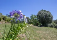 Quinta da Costeira - Casa Azul do Limoal by Alponte Hotels in Sampriz