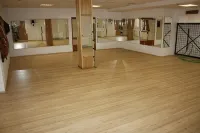 Sporthotel BK Pod Lipou Hotels in Libotenice