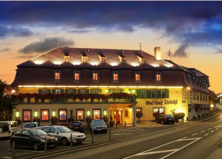 Hotel Leicht Отели в г. Тайльхайм