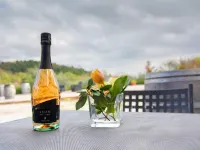 博爾戈拉託樂農場酒店 蒙特卡洛酒店