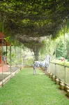 Imelda Resort