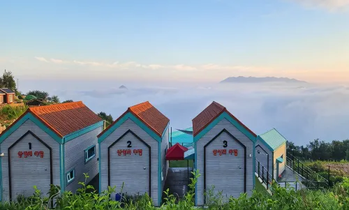 Morning of Gunwi Mountain Fortress - Homestays