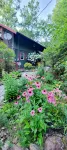 Mountain Top Cabin with a View that is Centrally Located in Western Carolina.