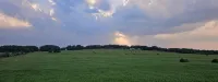 Cozy cabin with 1 bedroom and WiFi, AC & located on 40 acres with great views.