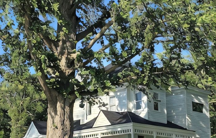 6 bedroom Victorian, on Hundreds of feet of unmatched pristine level beachfront.