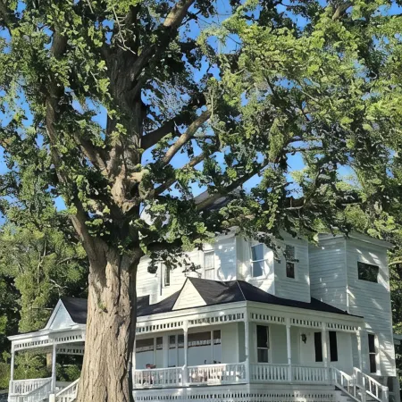 6 bedroom Victorian, on Hundreds of feet of unmatched pristine level beachfront.