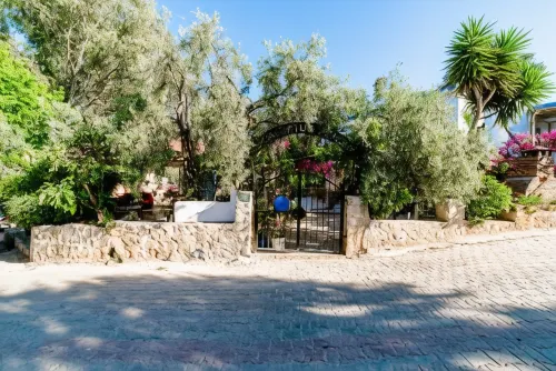 يوكاليبتس بينشن من الخارج Photos