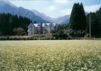 Pension Luminous - 2-Star