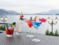 Grand Hotel Dino - bar