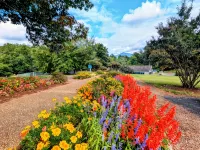 Wintergreen Mountain Views - Diamond in the Slopes - Close to Breweries & Hiking