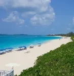 Modern condo: Steps from Atlantis & Beach - Homestays