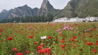 Floral Hotel·Jingshui Shanju hotel (Yesanpo Bailixia Scenic Area) - วิวภูเขา