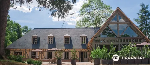 Hotel du Grand Cerf & Spa - spa
