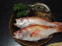 Minshuku Kazu