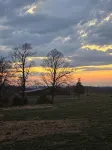 Cozy 1-BR cabin with Kid's Loft, Hot Tub & Large Deck on Working Buffalo Farm