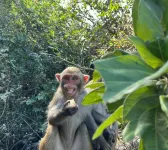 Fruitstay - Phòng tập thể hình