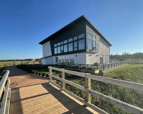 Blackbush Beach Resort Hotels in Queens County