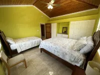 Paradise Palms! - Homestays