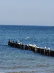 Bright renovated apartment 350m to the beach - Gym