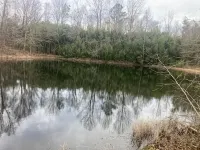 Relaxing farmhouse!  Enjoy farm animals, fishing and a picnic by the pond! - Wifi