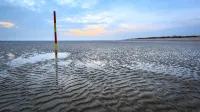 Apartment Koje in Schillg, walking distance to the beach, WLAN, parking, Sky