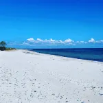 Baltic Sea / Schleiurlaub in newly renovated apartment with 3 bedrooms