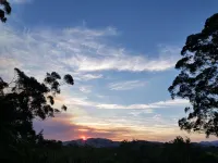 Dairy Song: for the Musicians, Artists, Travellers, Lovers of Birdlife, Yoga ... Hotels in Wingham
