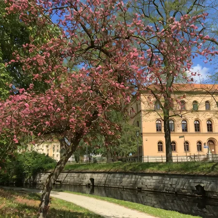 Charming old town apartment Hotels in Celle