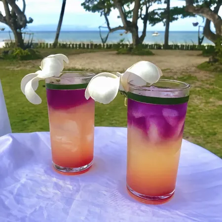 The Ananyana Beach Resort by SMS Hospitality