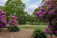 Rosie's Retreat: Cozy 3 BR, 3 Bath Condo in Wintergreen Resort, 1 mile to slopes