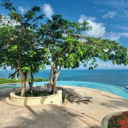 THE BEST OCEAN VIEW GUARANTEED!!!