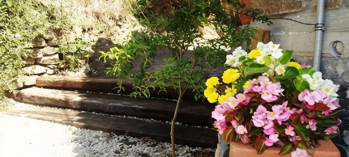 Degirmen Konukevi Hotels in Imbros