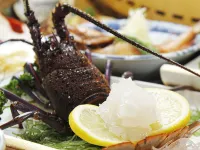 Kappou Minshuku Makino - balneario