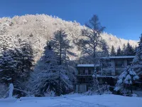 山の宿 明治温泉 御射鹿の湯 - マウンテンビュー