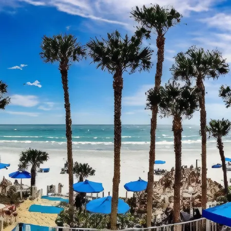 DoubleTree Beach Resort by Hilton Hotel Tampa Bay - North Redington Beach