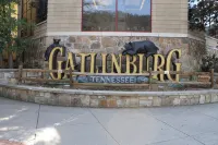 Downtown, Nice Furnishings, Clean & Cozy, W/ Fireplace, Indoor & Outdoor Pools - Private Pools