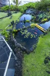 Oceanview #206 at Hana Kai Maui - Lofted Studio, Upper floor, Great View!
