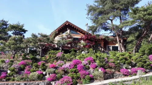 Wonju Hwangto Joa Pension - مبيت وإفطار