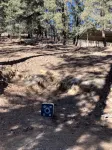 Cozy Pines Hideaway- BBQ, Fire-Pit, Zip-Line, and Fireplace