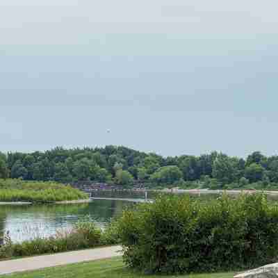 Executive / Family Home | 2 Br • Office • Parking • 10Mins to Toronto or Pearson Others