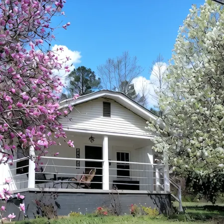 Charming cottage Pet Friendly 1 BR Tranquil Steele Wifi