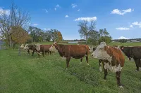 Quiet, private apartment on a 160-year-old farm. Attractions within 5 miles. - Holiday Apartments