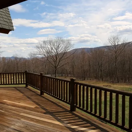 Stunning Catskills Cabin Getaway, facing BelleAyre